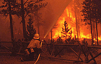 A firefighter sprays water on a severe ground fire.