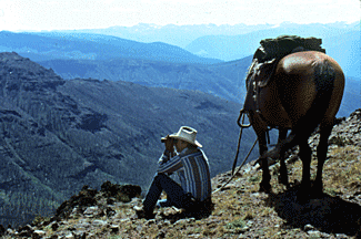 A rider looks out over the devastated Lamar Valley from Mirror Plateau.