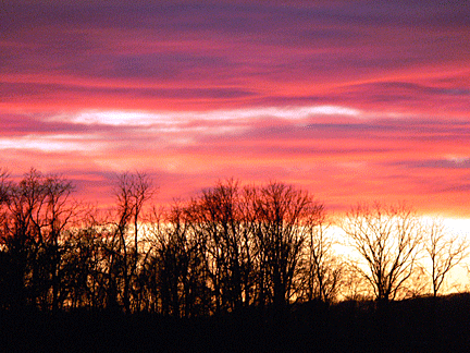 A spectacular winter sunset glows behind a row of bare trees.